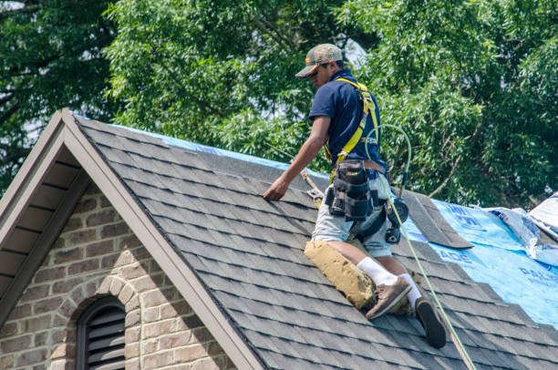 Best Best Roofing Contractors  in South Chicago Heights, IL